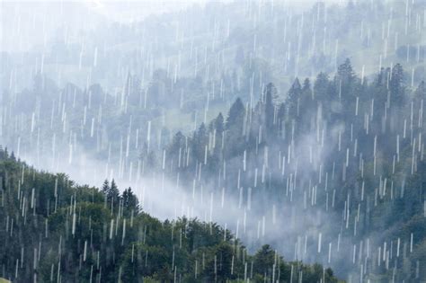 下大雨圖片|70000 多张免费的“下雨”和“雨”照片